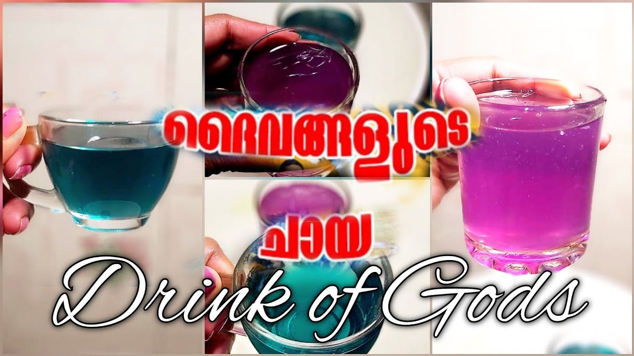 ദൈവത്തിന്റെ പ്രിയപ്പെട്ട ചായ നിങ്ങൾ കുടിച്ചിട്ടുണ്ടോ 😍👌🏻😋 Butterfly pea