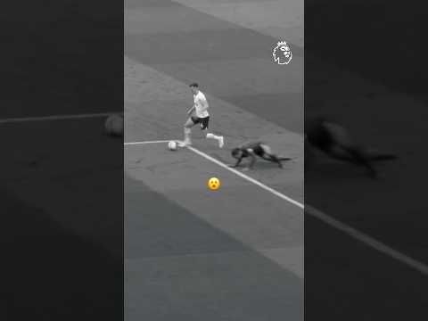 Ref:bclFhSpuPg4 Ivan Perisic v Virgil van Dijk 😵