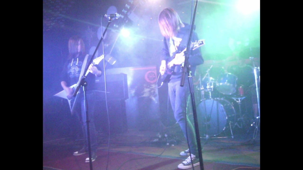 август.кошка.звездопад