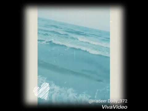 انى احب مش هو ده اللى تاعبنى نداء شراره