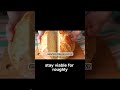 The Secret to Storing Yeast For Over 5 Years #longtermfoodstorage