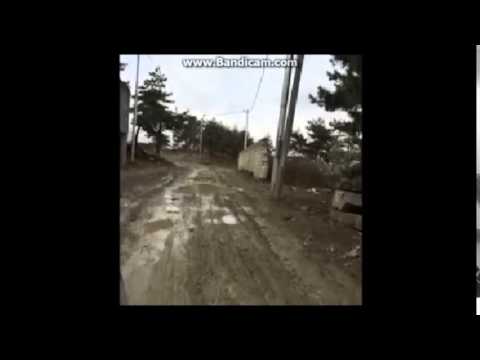 ნაციონალების მიერ გაყიდული და დაჩეხილი წყნეთი