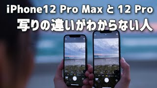 【iPhone 12 Pro Max】のカメラはそんなにすごいのか？iPhone 12 Proと比べてみた結果