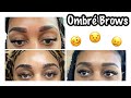 Microshading/Ombre Brows: My Experience with Bruising + Healing| Part 2 the Touch Up