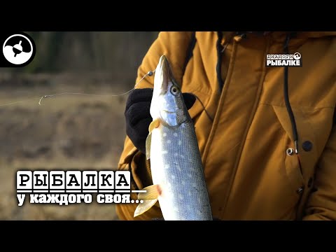 Окунь и щука в черте города | Рыбалка у каждого своя