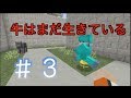 【マイクラ】刑務所から逃げ出す物語-新章-【3日目】