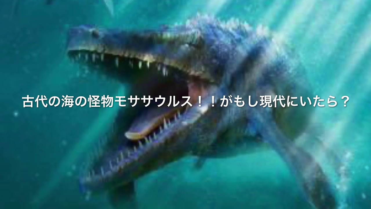 異種格闘技戦2海の最強生物決定戦 Youtube 異種格闘技戦2海の最強生物決定戦 Youtube