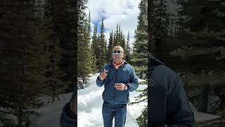 Success #travel #snow #solitude #motivation #selfsteem #trekking #trip #snowfall #selfworth