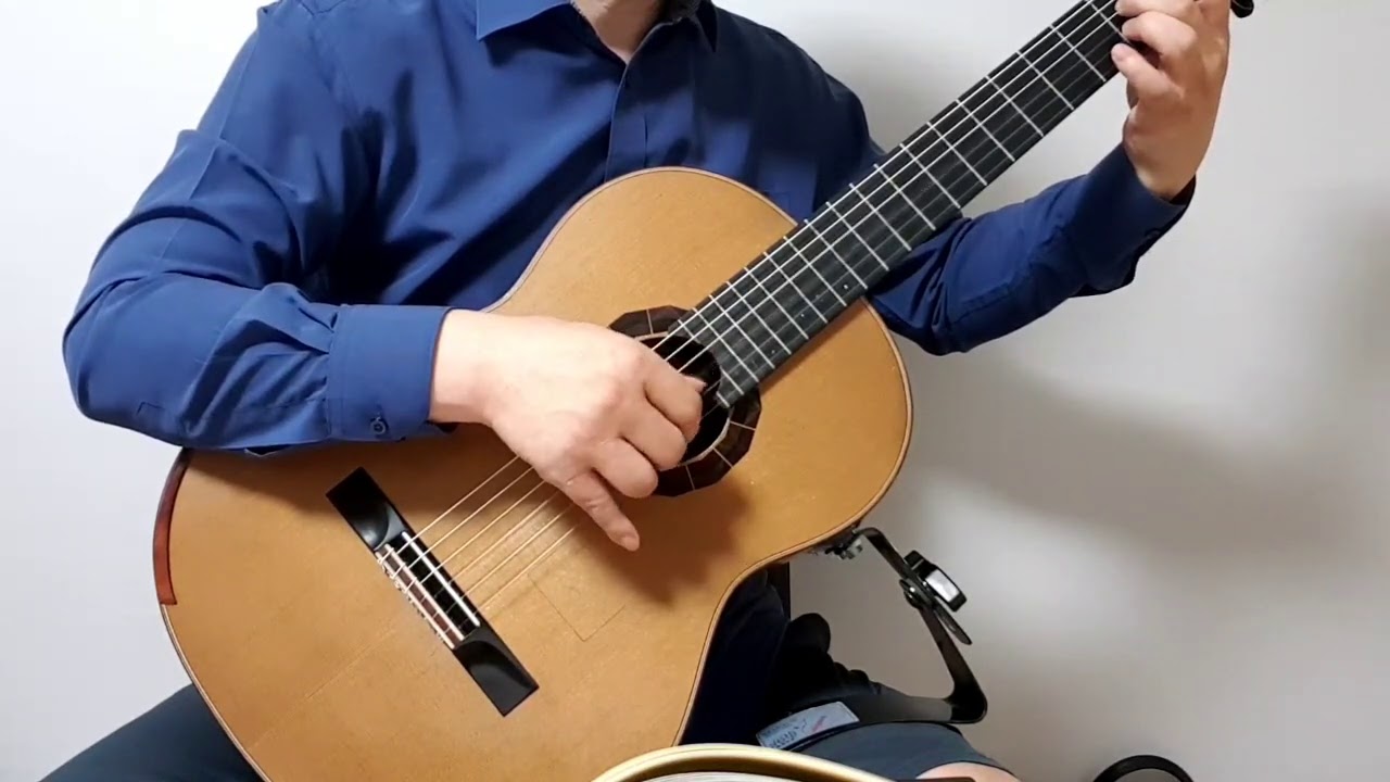 왈츠(Waltz by F. Carulli) YouTube