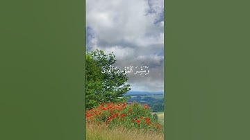 سورة الكهف [1-4] الشيخ مشاري راشد العفاسي