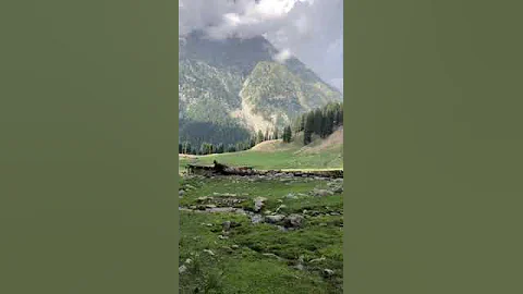 beautiful taip meadows swat..#meadows #swat #nature #creation #views #landscape #beauty #beautiful