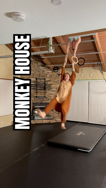 Training gets WILD in this lounge room 🙊🙉🙈