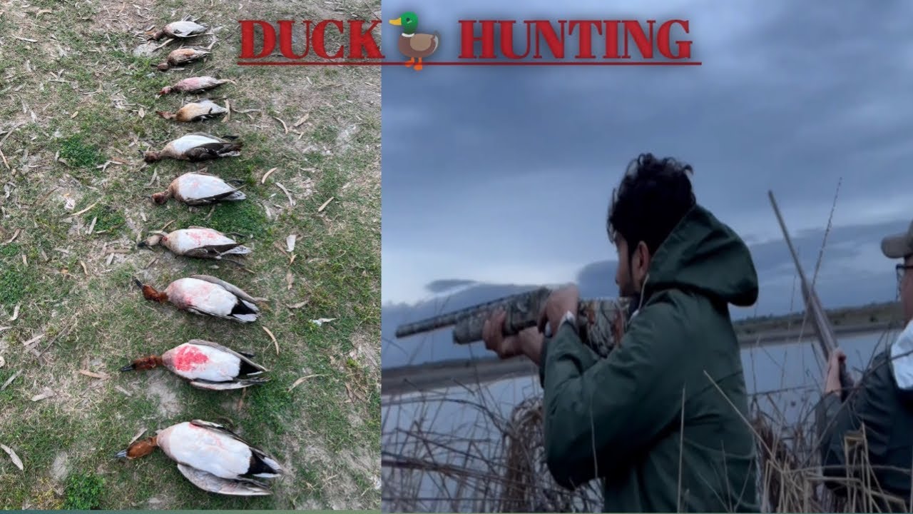 Duck hunting - YouTube
