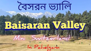 Baisaran Valley/ বৈসরন ভ্যালি/November&#39;23 #pahelgam #kashmir  #switzerland of kashmir