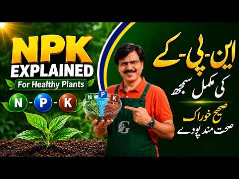 NPK Explained | Video for Beginners | Grow Healthier Plants