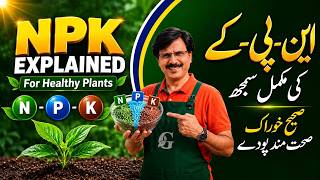 NPK Explained | Video for Beginners | Grow Healthier Plants
