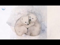 Polar Bears!!! Animals of the Ice (Great Educational Video)