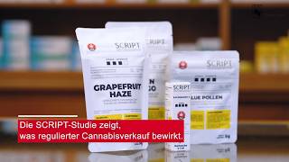 Cannabis reguliert verkaufen: Was zeigt die SCRIPT-Studie?