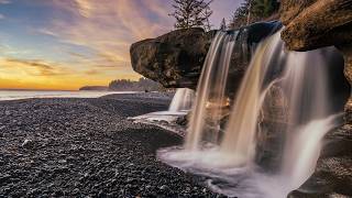 Where the sun touches the Forest, Beautiful Relaxing Music, Peaceful Soothing Music, by Tim Janis screenshot 1