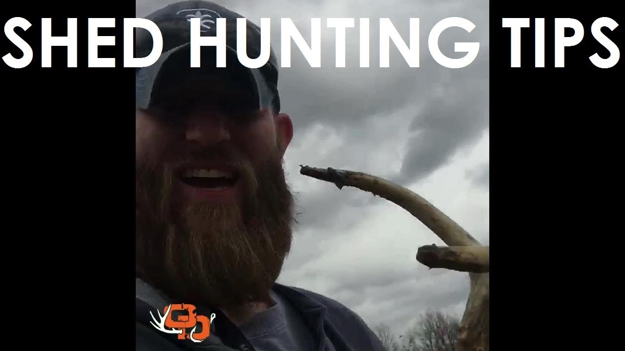 SHED HUNTING TIPS - HOW TO w/ Jordan Hanks 