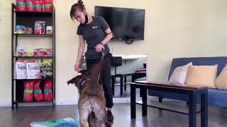 Buna - cue transfer for “flat” position