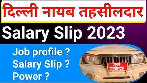 DDA / Delhi Naib Tahsildar Salary Slip 2023 कैसे बनें  Promotion , power , Job profile