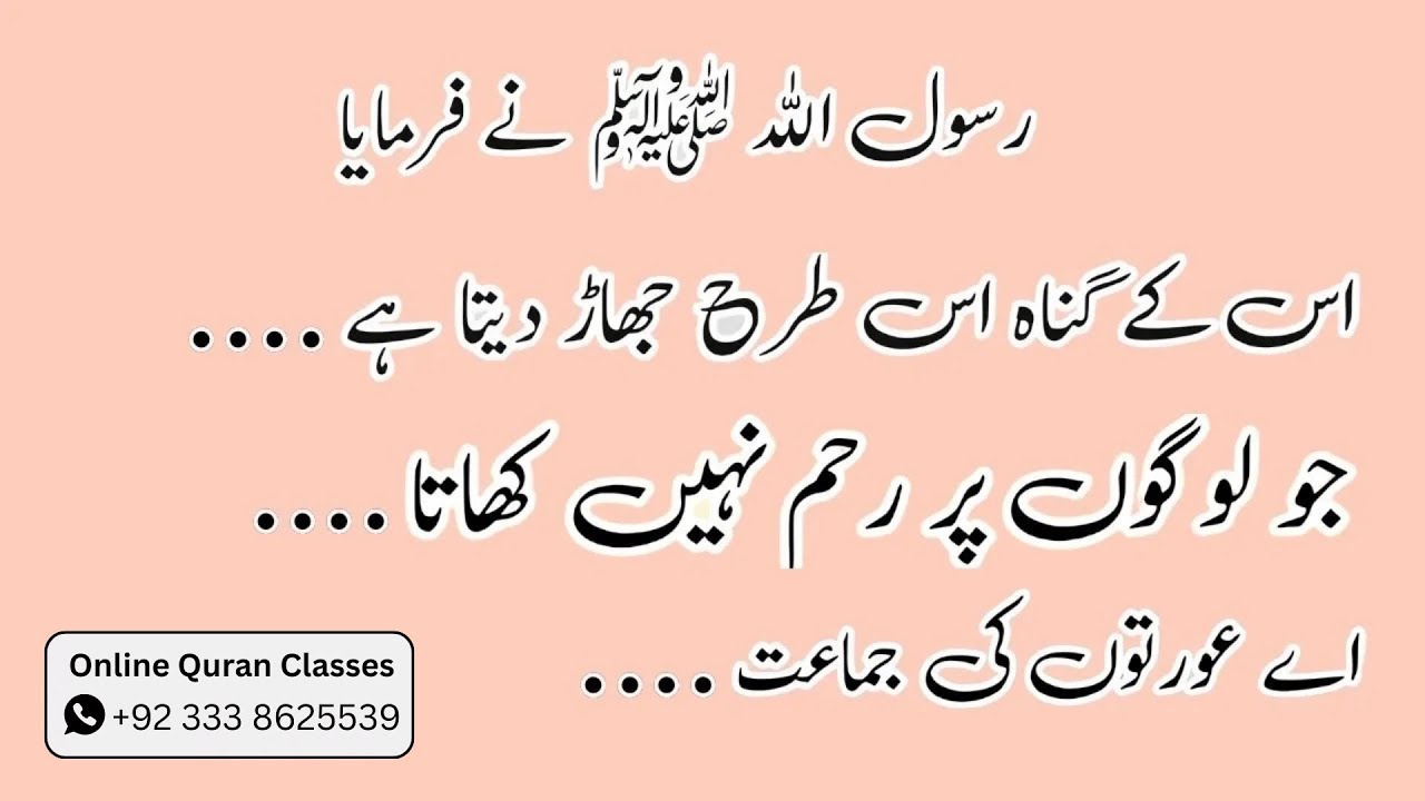 🧭 Quest for Wisdom | Hadith Insights | Live Recitation