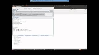 13   JSON Injection Profile