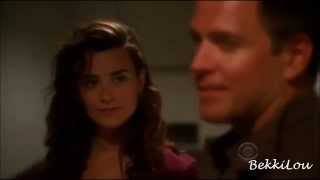 NCIS TEAM family - No Place Like Home
