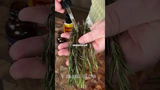 How to Make Rosemary Water for Hair Growth The Right Way 😍