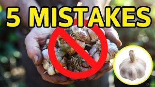 5 Common Garlic Planting Mistakes to Avoid!