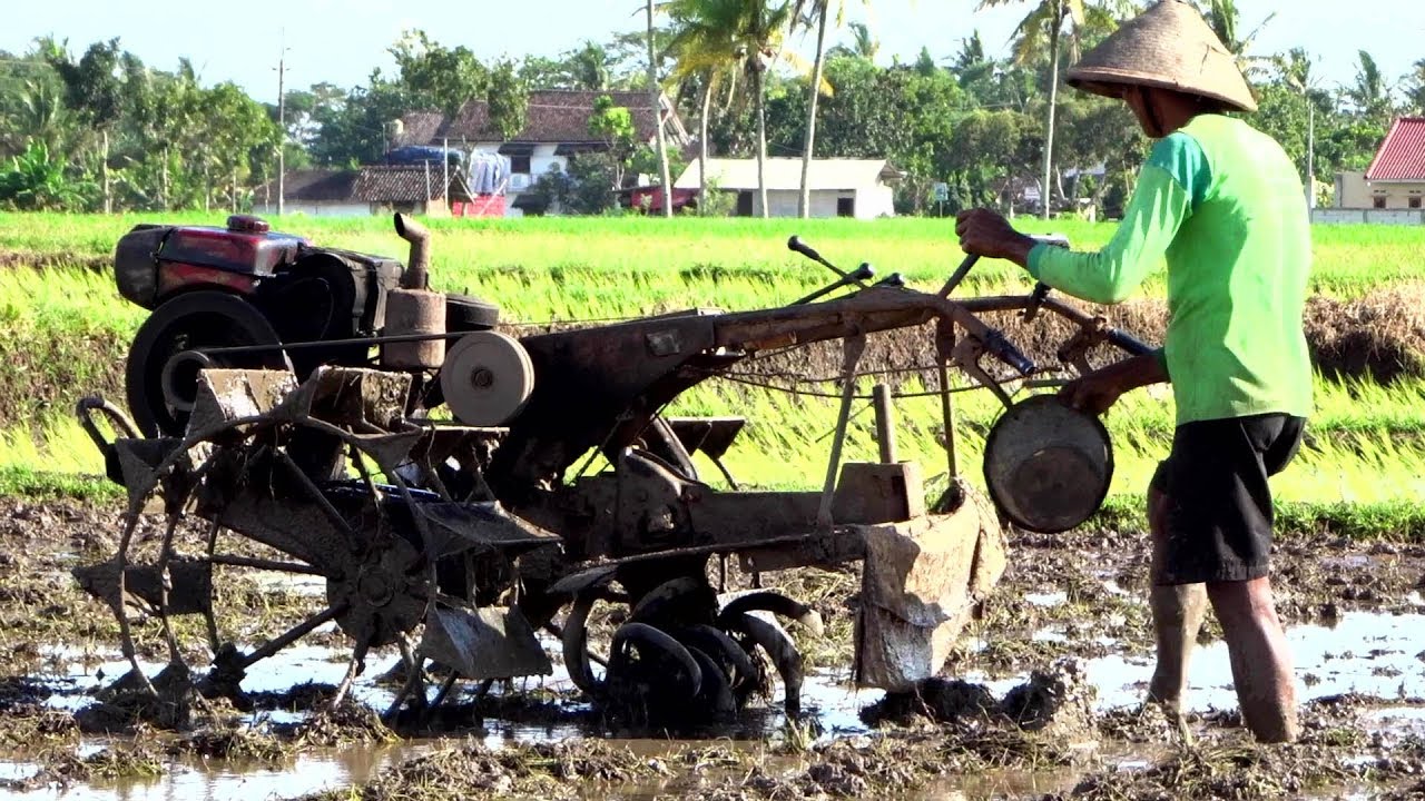 Hard Working Hand Tractor plowing wet and mud dirt