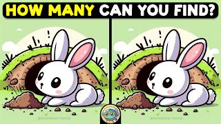 🐢🧩 Find 3 Differences | Your Daily Brain Workout 🧩🐢 | Quizonaut Turtle screenshot 1