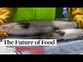 Future of Food: This genetically engineered salmon may hit U.S. markets as early as 2020