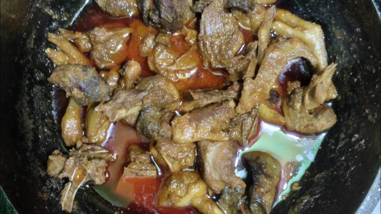 Liza Liza-10M is live