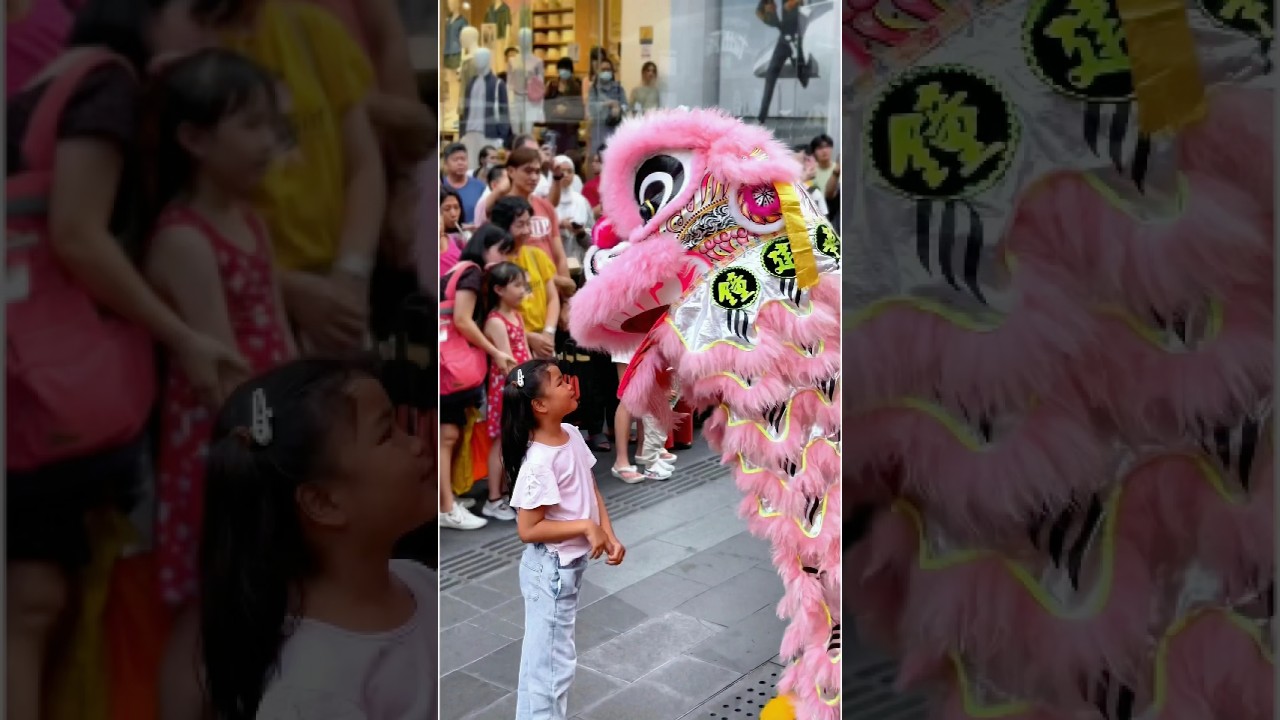 ЭТОТ ТАНЕЦ ПРИНОСИТ ДЕНЬГИ - Китайский новый год в Куала Лумпуре 🦁