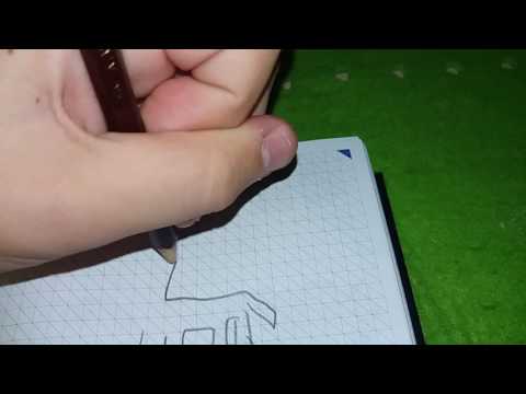 Come Disegnare Un Cavallo Doovi