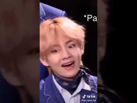 بردو مش هطلق