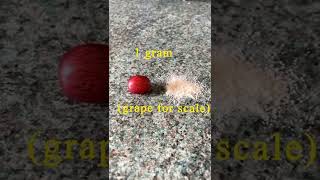 Imperial measurements aren’t so hard #shorts