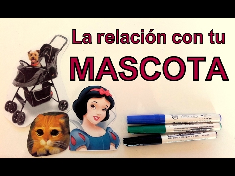 ¿Por qué los PERROS y GATOS nos parecen ADORABLES?