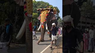 ആടയട വരനന അപപസ കട സതശടടന പമപട രജൻ Pampady Rajan കടങങട നറമല 2025