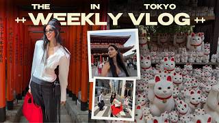 VLOG: Токио — другой мир🗼 Набег на винтажки, Фудзияма, DisneySea🇯🇵