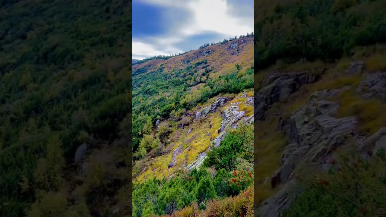 This is where Labe / Elbe is born🥰 you can start following its path from Krkonoše in Czechia 
