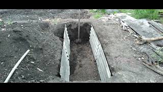 Посадка Инжира в Траншею.Planting Figs in a Trench