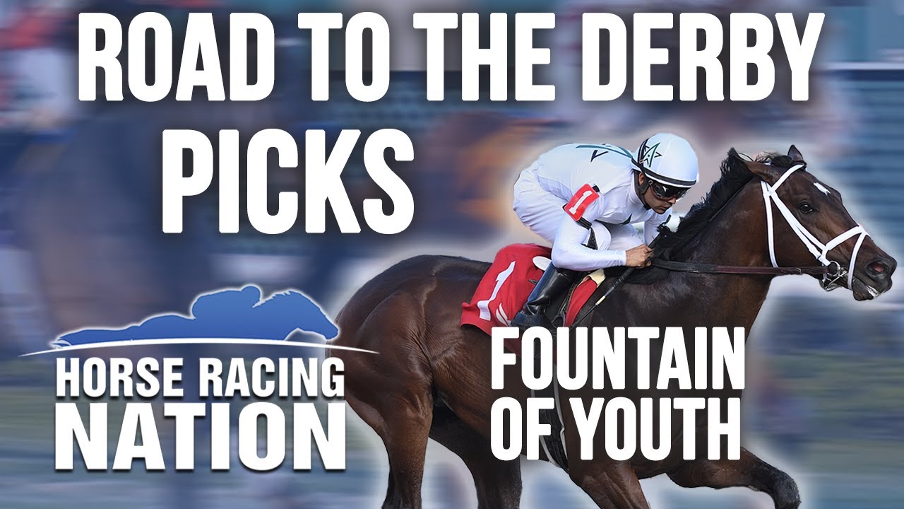 Road to the Derby Picks Fountain of Youth Stakes YouTube