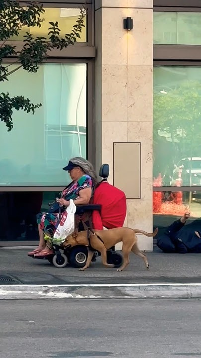 Cruising Down The Street In My 6 4 Cruising down the street #streets #scooter - YouTube