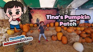 Tina's Pumpkin Patch Sherman Oaks CA