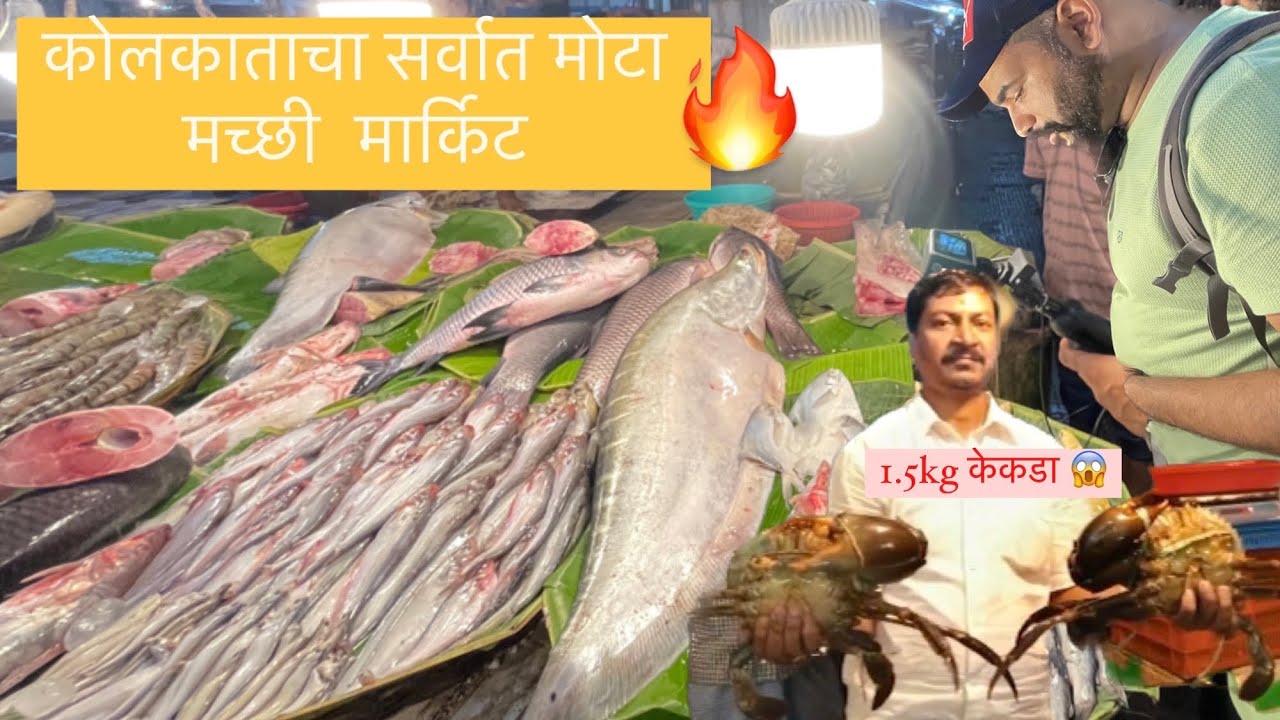 😱BIGGEST CRAB 🦀 KOLKATA FISH MARKET VLOG ft urankaranjekar3037 🎣 🐟