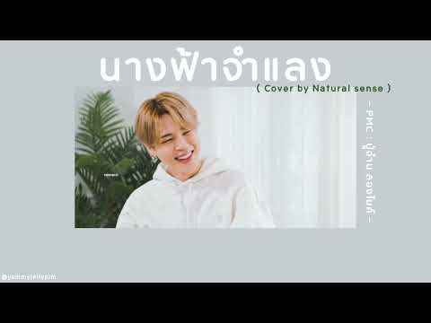 🦋 [เนื้อเพลง] นางฟ้าจำแลง - PMC : ปู่จ๋าน ลองไมค์ (ver.cover by Natural sense) 🍀