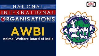Animal Welfare Board of India - National/International Organisations -  YouTube